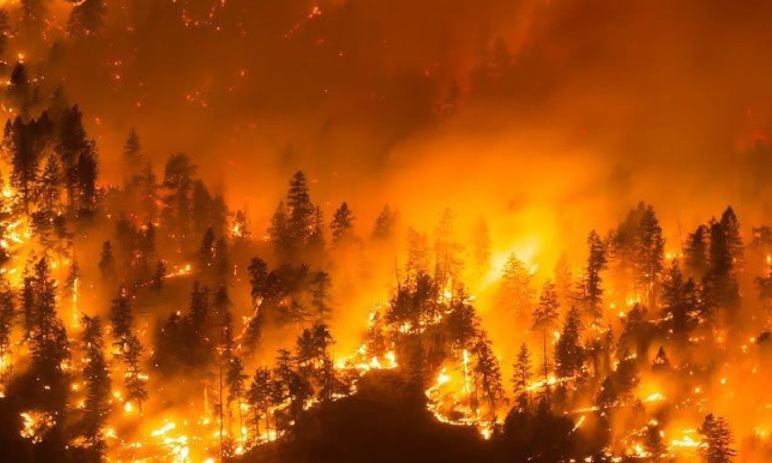 Photo Canada Wildfire